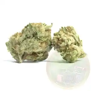 สายพันธุ์ Kosher Kush